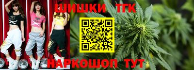 СК Жуковский