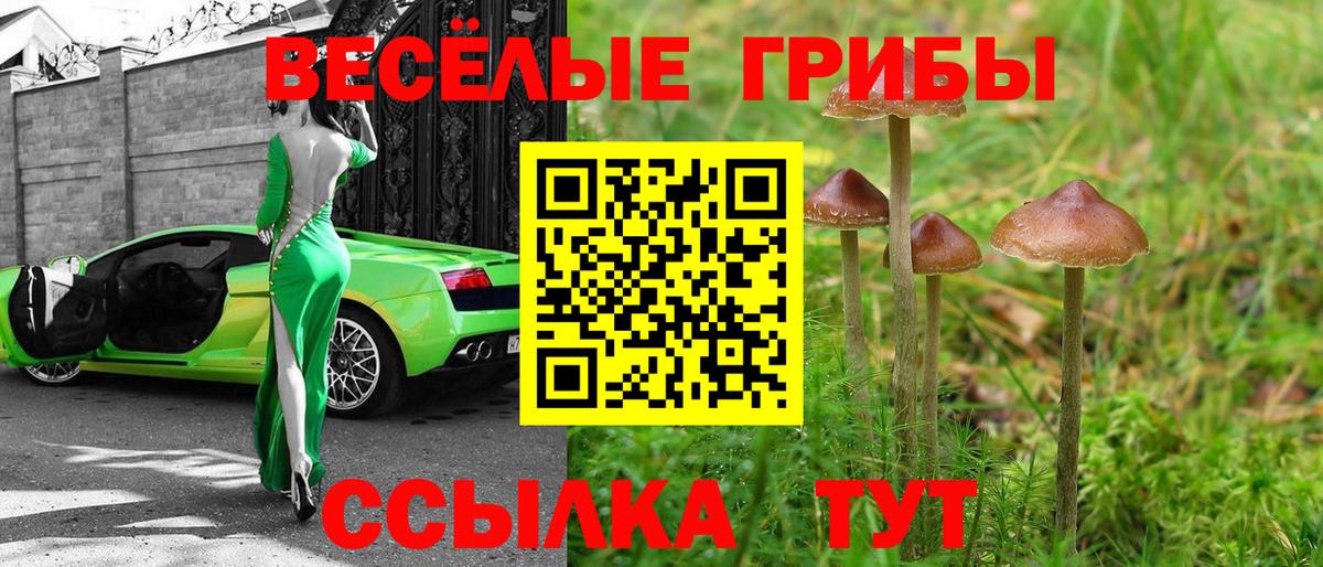 где найти   Псилоцибиновые грибы ЛСД  Вход с VPN  Арсеньев 